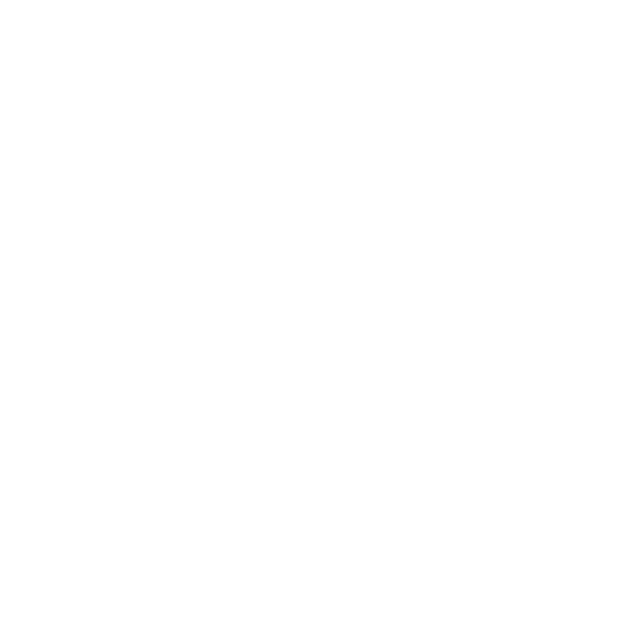 Logo Fundação Van Leer