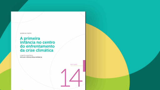 Capa da publicação 