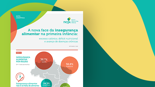 Capa da publicação 