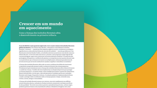 Capa do texto 
